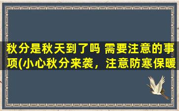 秋分是秋天到了吗 需要注意的事项(小心秋分来袭，注意防寒保暖！)